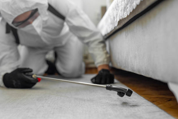 Professional Cockroach Control technician working in Sage, CA